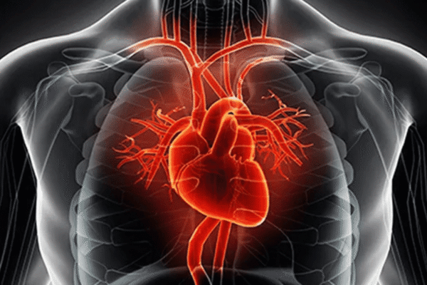 Jardiance for Heart Failure: Comprehensive Guide on Mechanism, Benefits, Dosing, Safety, and Long-Term Outcomes